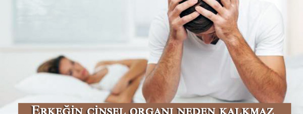 Erkeğin cinsel organı neden kalkmaz